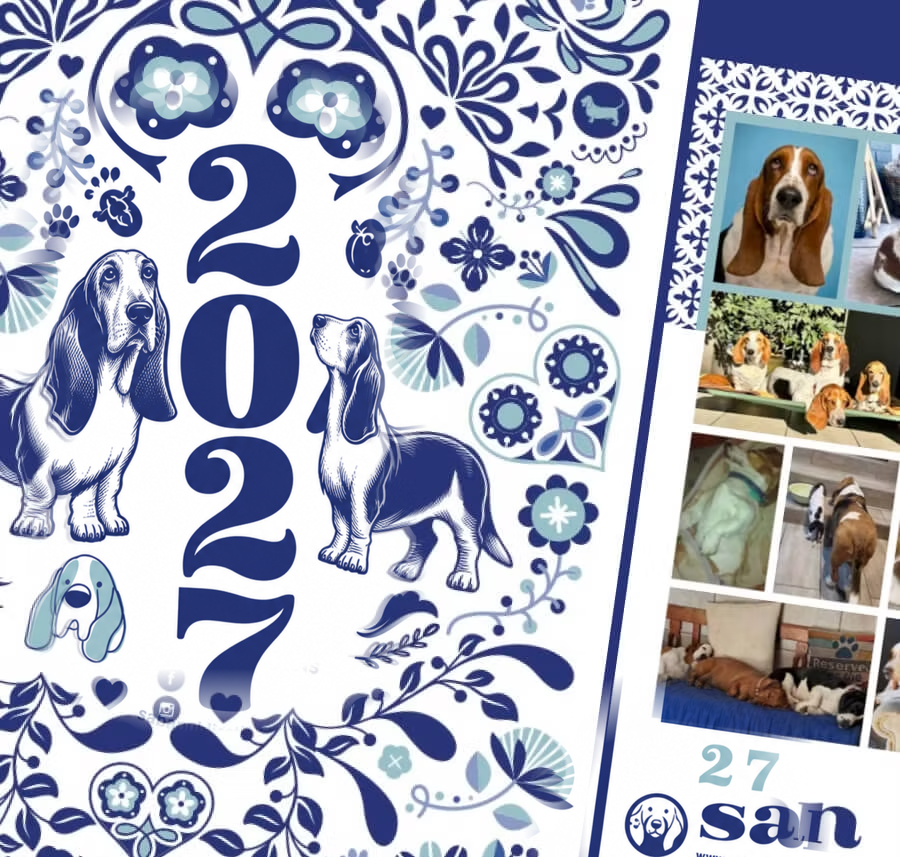 SABA 2027 calendar cover with bassets